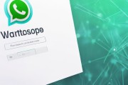 WhatsApp Web 安全登录方式，如何在电脑上安全使用WhatsApp